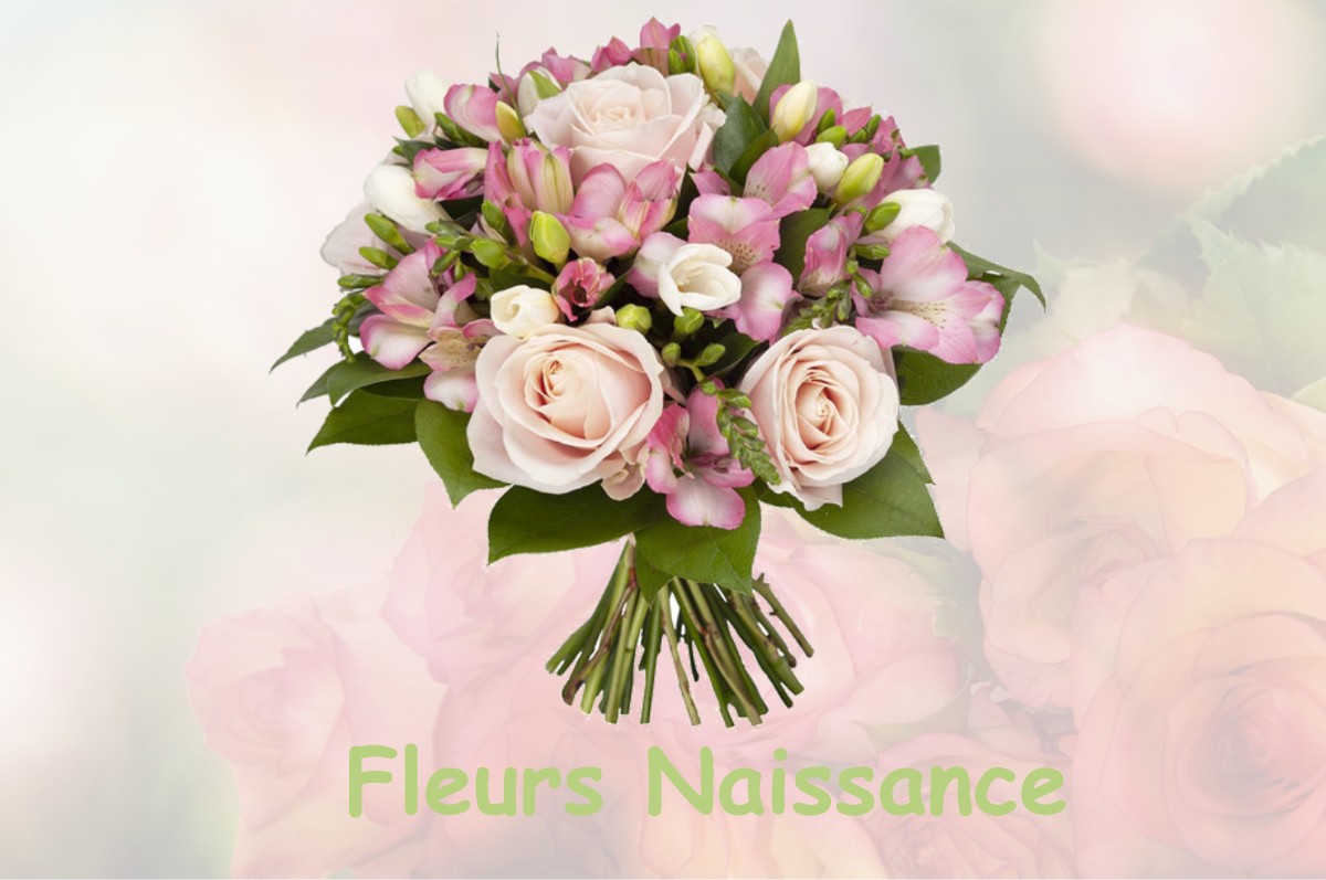 fleurs naissance SAINT-ANDEOL-DE-FOURCHADES